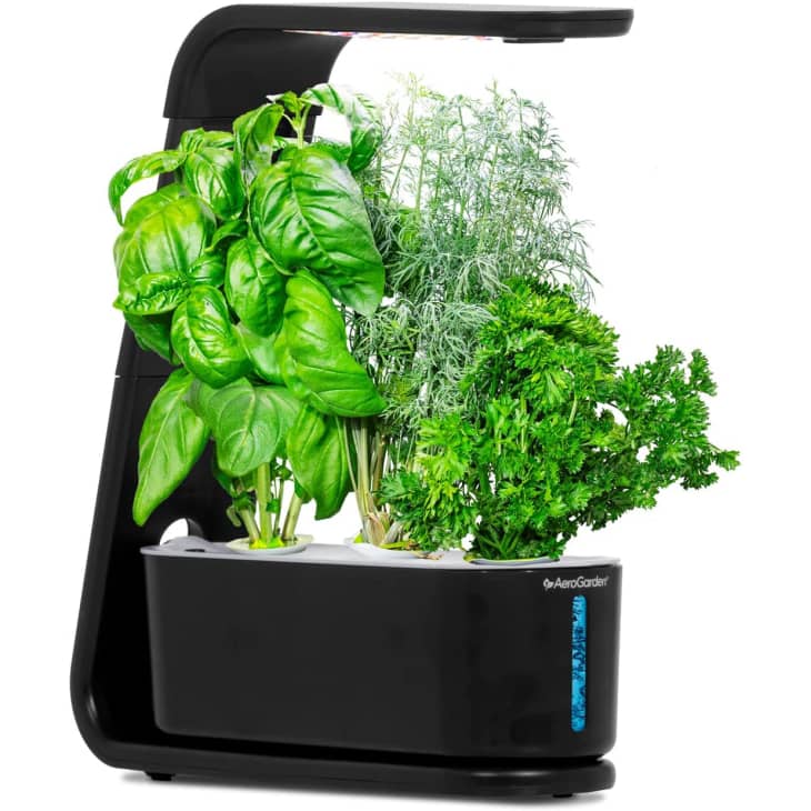 Product Image: AeroGarden Sprout