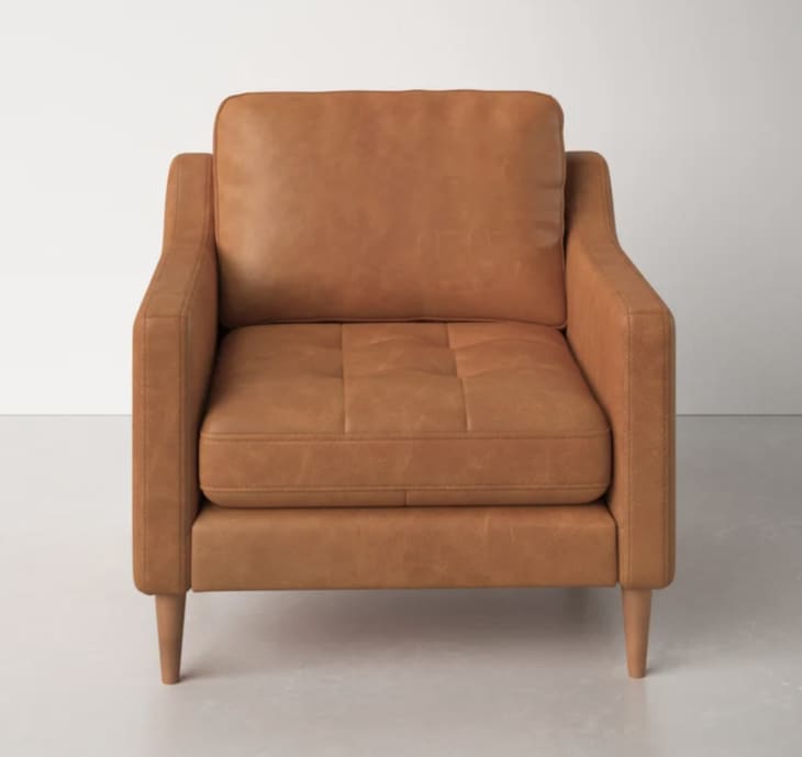 Product Image: Daylen Genuine Leather Armchair