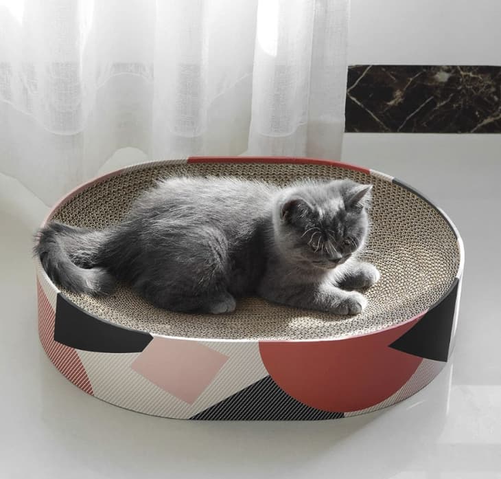 Product Image: ComSaf Cat Scratcher Bed