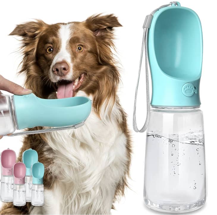 Kalimdor 19-Ounce Dog Water Bottle at Amazon