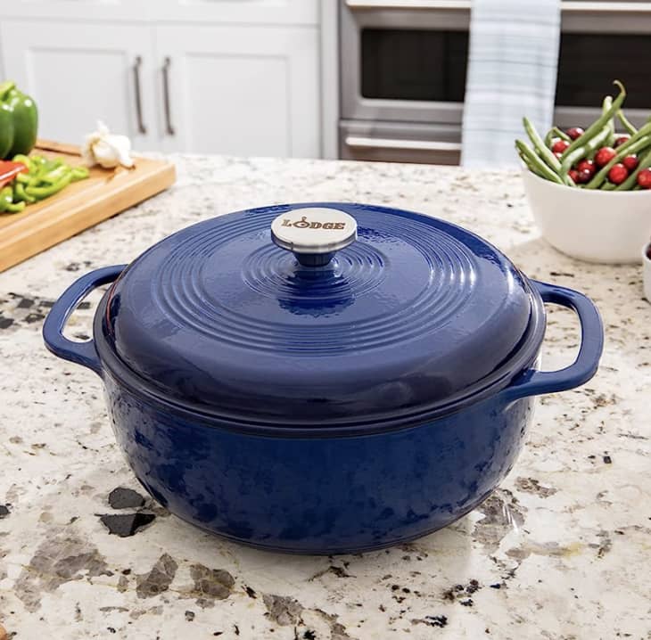 Le Creuset Dutch Oven Lodge Dutch Oven: Which Should You Buy