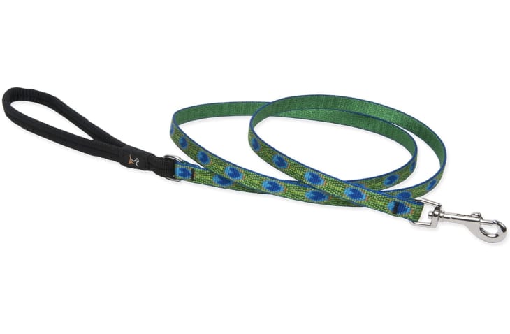 Product Image: LupinePet Originals Padded Leash, 4-foot