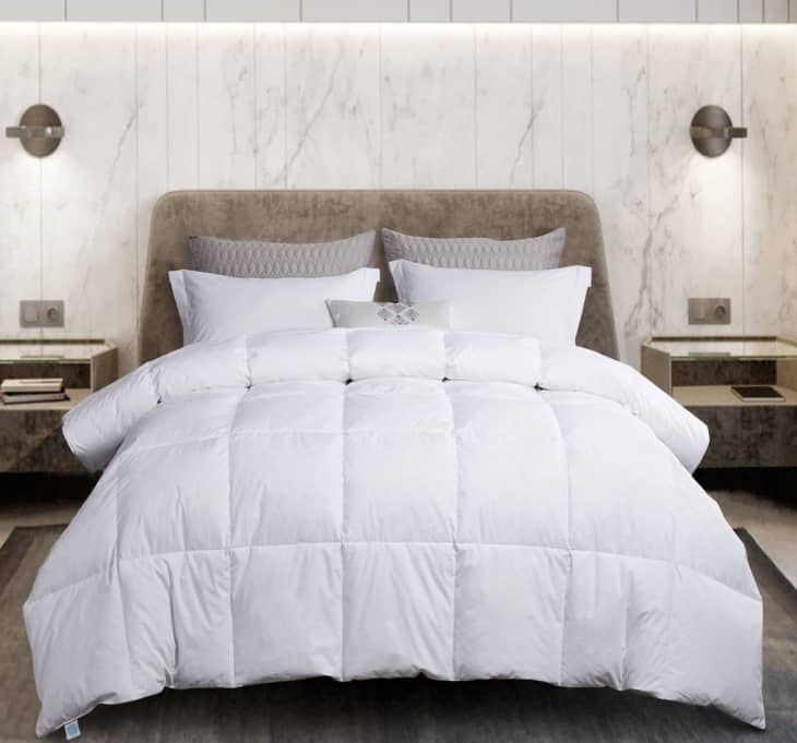 Martha Stewart 100% Cotton White Goose Down and Feather Comforter, Full/Queen at Amazon