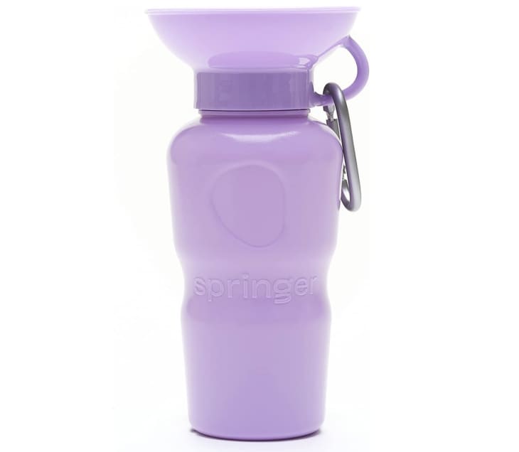 Product Image: Springer Dog Water Bottle