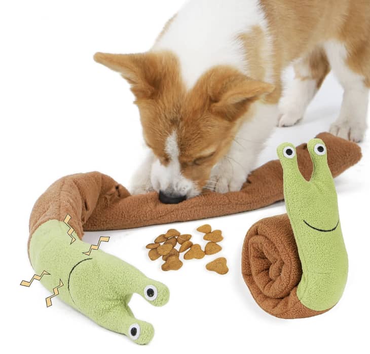 TOTARK Treat Dispensing Snail Snuffle Toy at Amazon