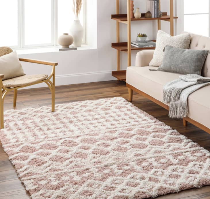 Azura Area Rug, 5'3" x 7'3" at Boutique Rugs