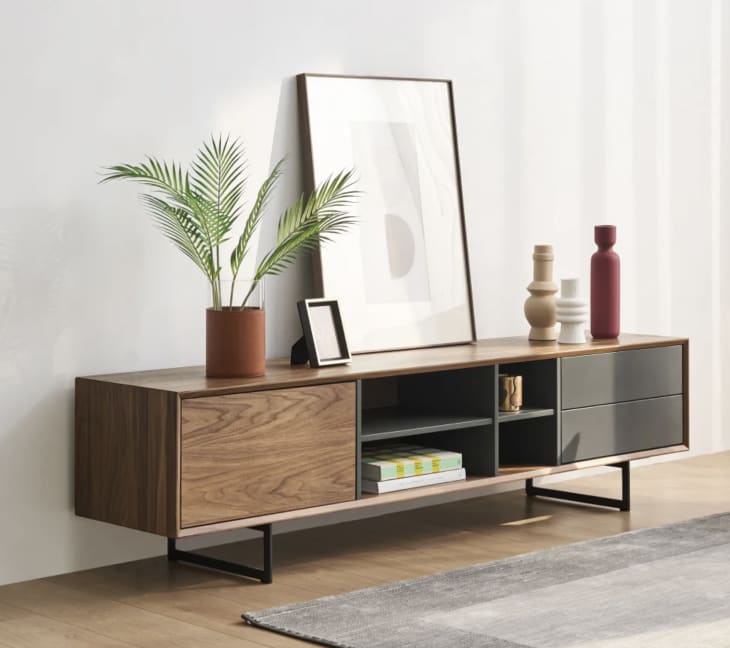 Carson TV Stand at Castlery