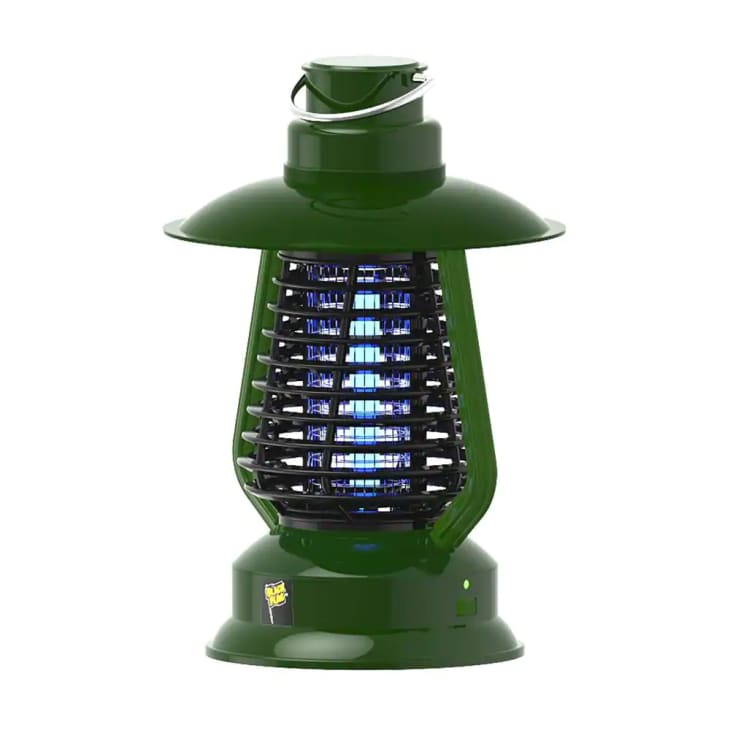 Cordless Bug Zapper Insect Killer at Home Depot