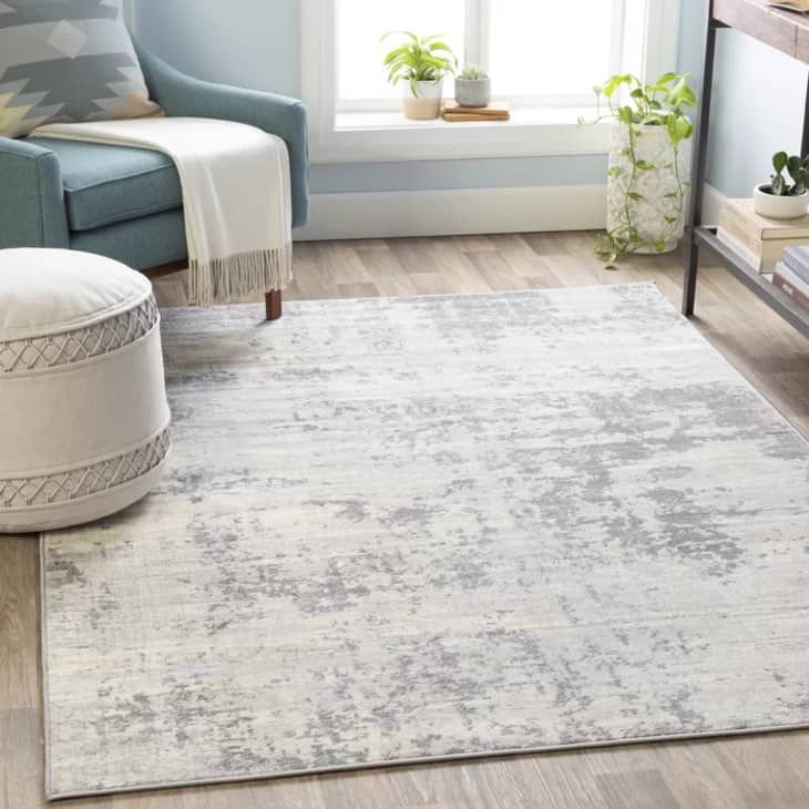 Product Image: Dov Power Loom Performance Gray/Cream Rug, 5'3" by 7'3"