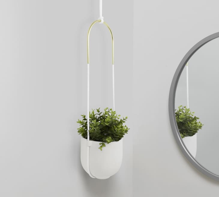 Product Image: Hanging Wall Planter