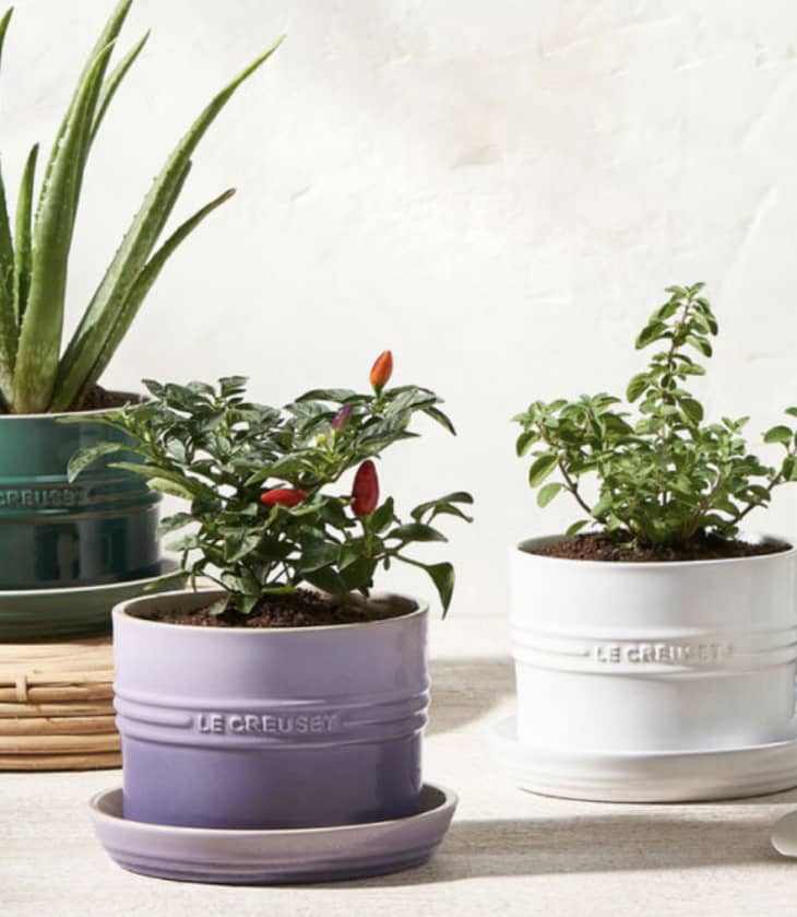 Product Image: Herb Planter
