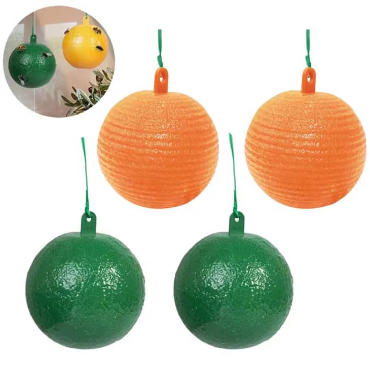 Outdoor Sticky Fly Insect Fruit Ball Traps (4 per Pack) at Home Depot
