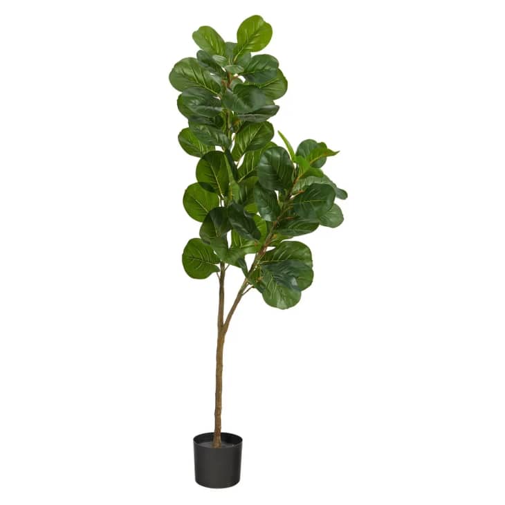 Product Image: 5.5' Artificial Fiddle Leaf Fig