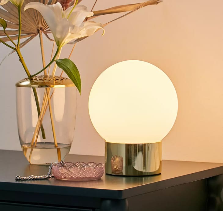 Product Image: Delia Frosted Globe Table Lamp