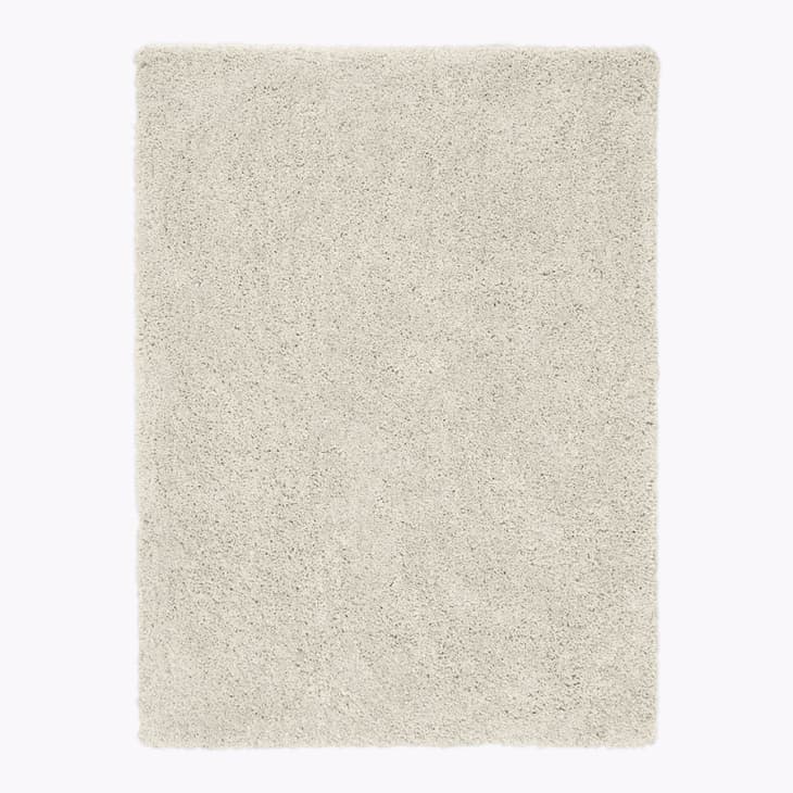 Cozy Plush Low-Shed Shag Rug at West Elm