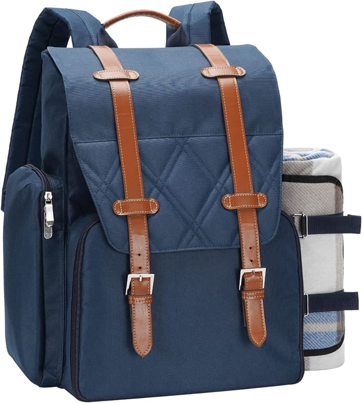 Picnic Backpack with Large Insulated Cooler Bag at Amazon