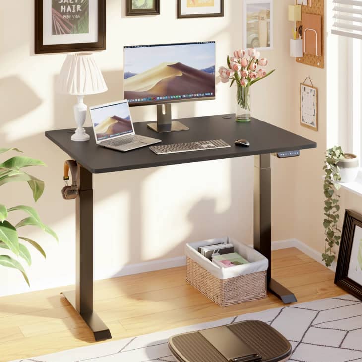 Product Image: Sobaniilo Electric Standing Desk with Splice Board