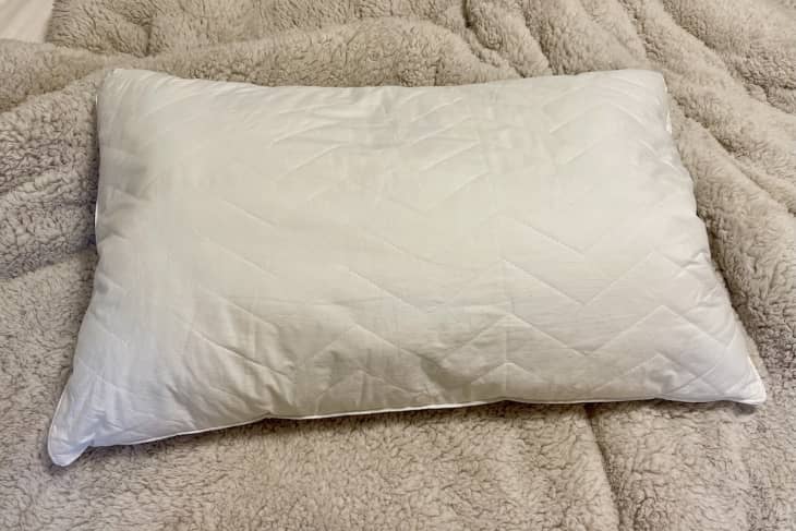 Why I Love Sobel Westex PIllows: Tried Tested Apartment Therapy - Main Image