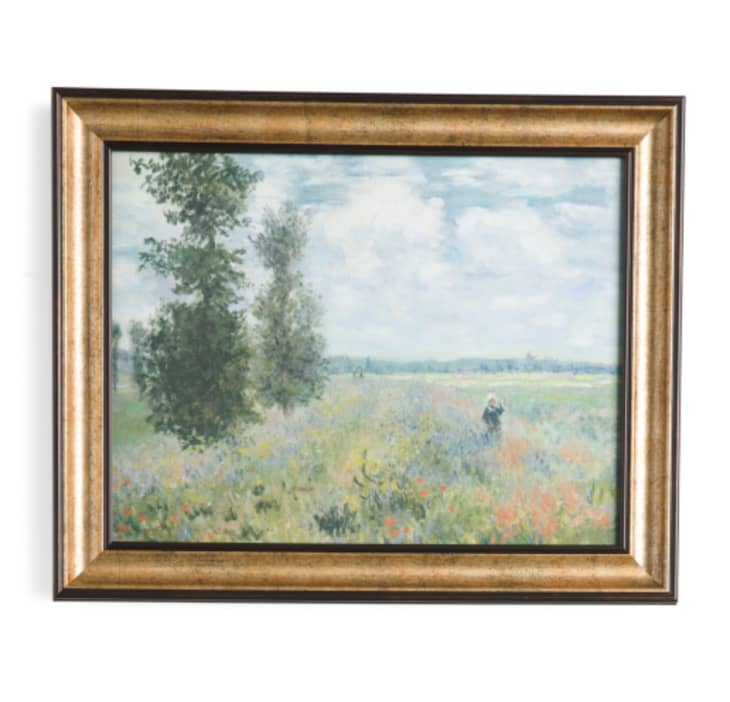 Framed Monet Wall Art at TJ Maxx