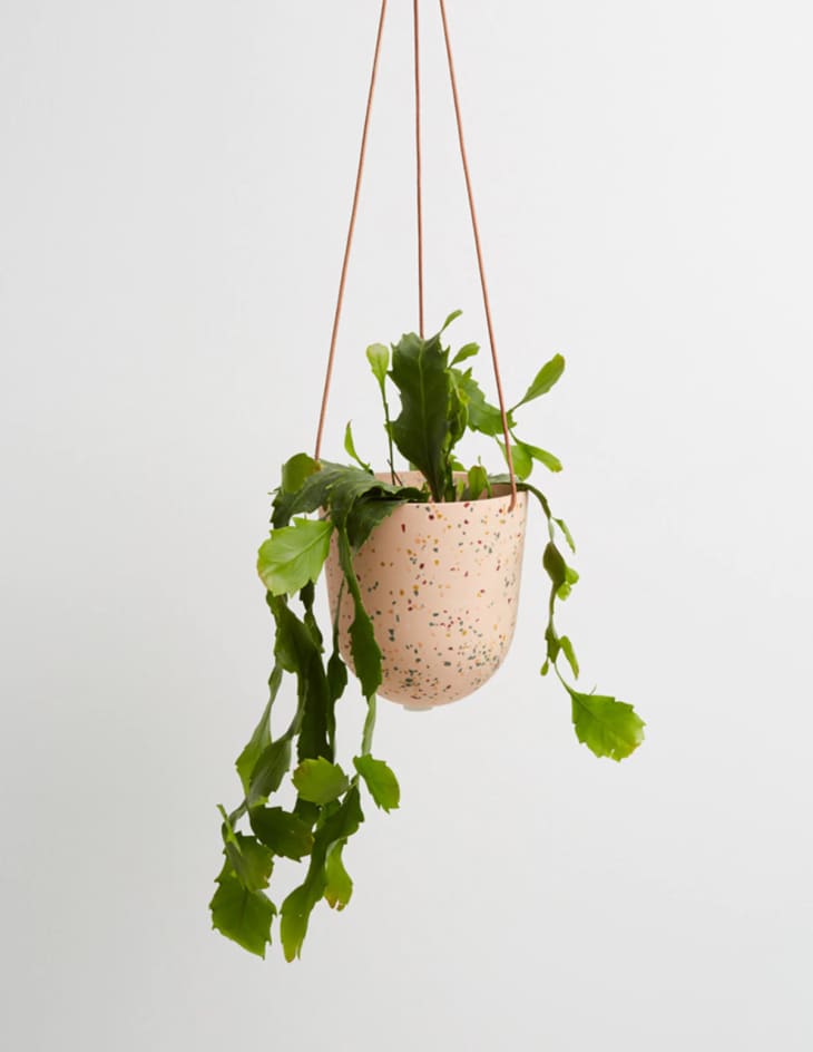 Product Image: Terrazzo Hanging Planter
