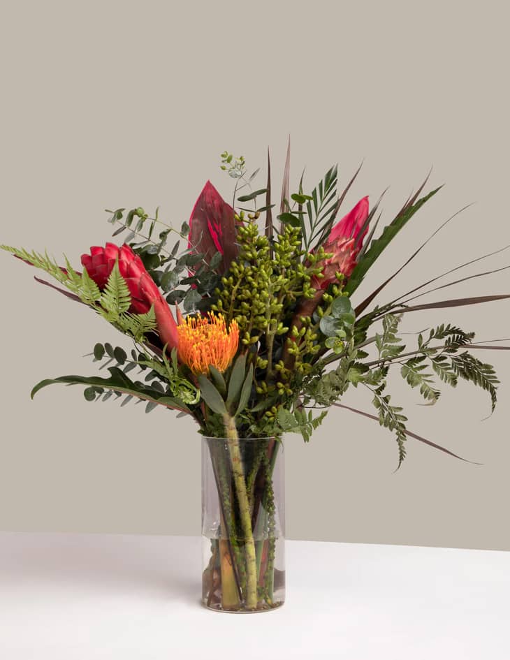 Product Image: The Davallia & Protea Bouquet