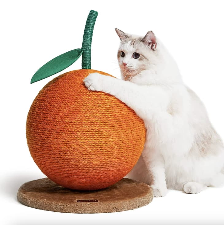 VETRESKA Orange Cat Scratching Post at Walmart