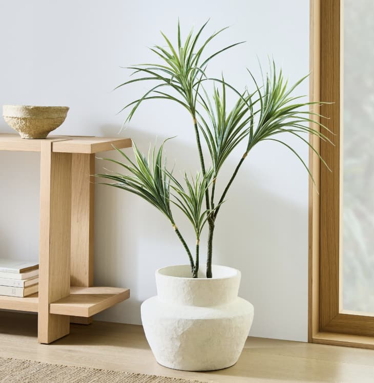 Product Image: Faux Potted Dracaena Plant