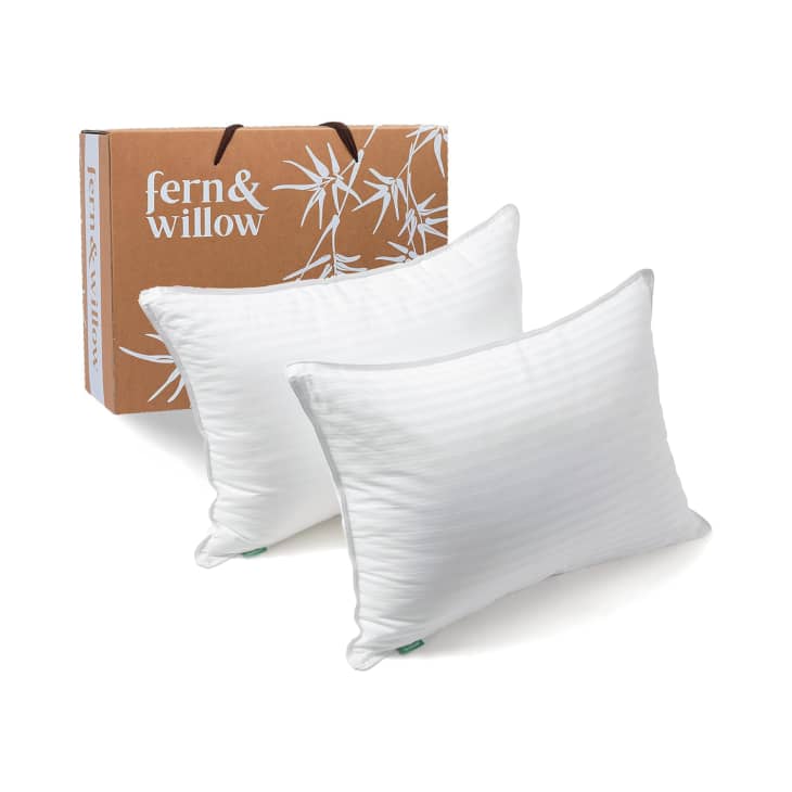 Fern and Willow Pillows at Amazon