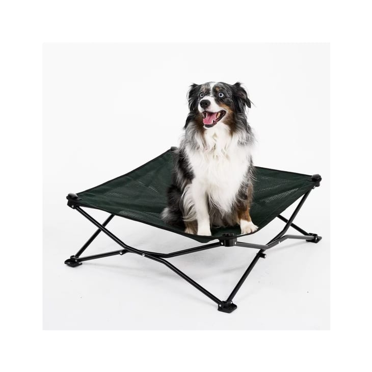 Product Image: Coolaroo On The Go Elevated Cat & Dog Bed with Removable Cover