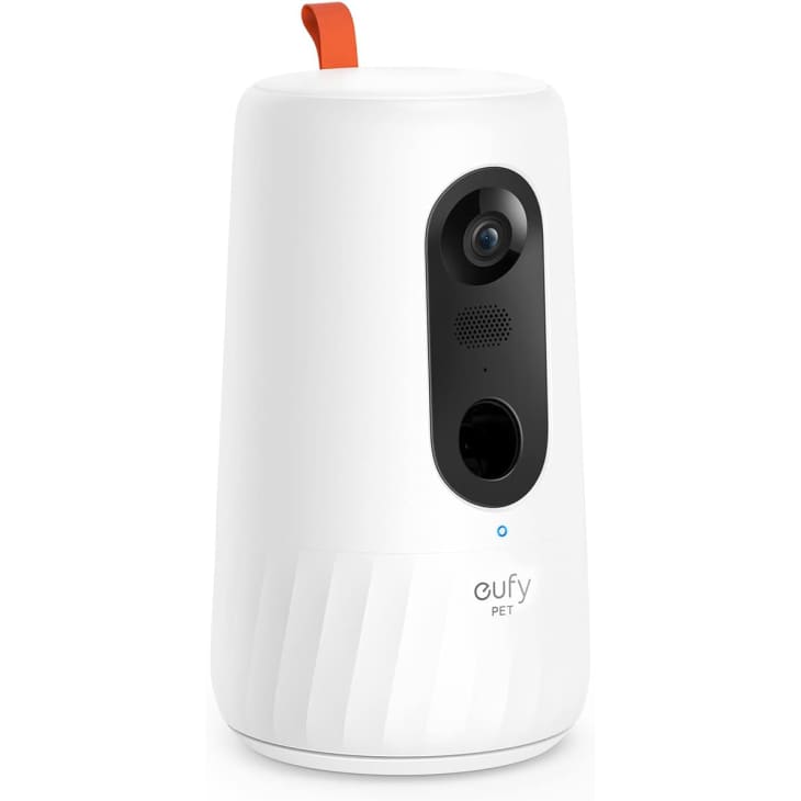 https://cdn.apartmenttherapy.info/image/upload/f_auto,q_auto:eco,w_730/commerce%2Feufy-Pet-Camera-for-Dogs-and-Cats-amazon