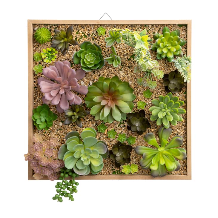Product Image: Faux Succulent Wall Decor