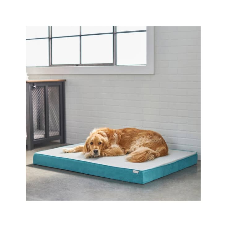 Product Image: Frisco Cooling Orthopedic Pillow Dog Bed w/Removable Cover