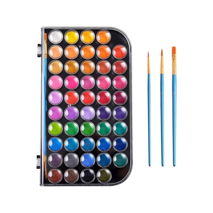 48 Colors Washable Watercolor Paint Set with 3 Brushes and Palette at Amazon
