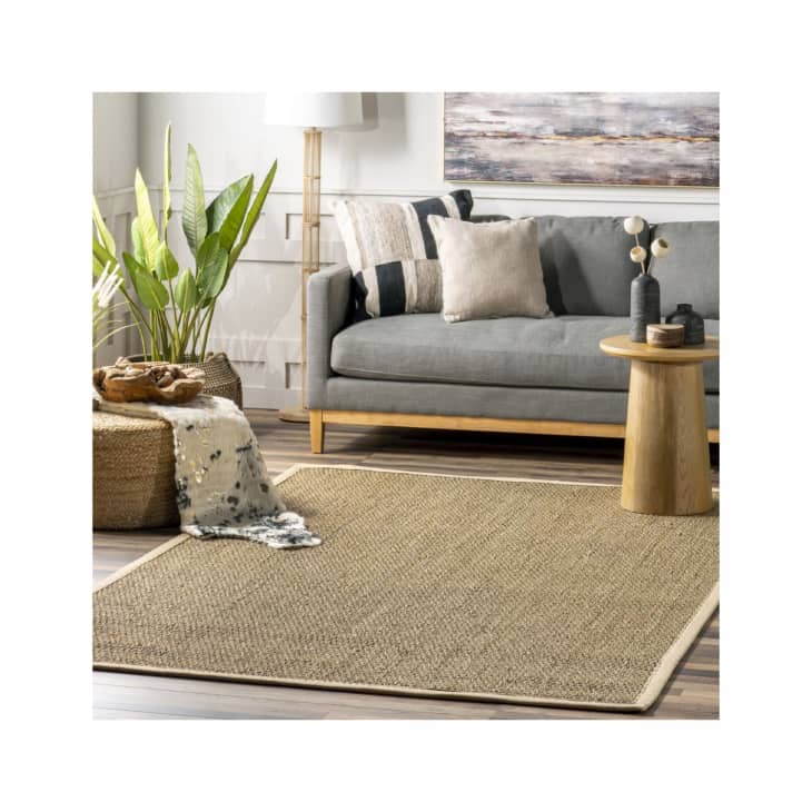 Beige Seagrass with Border Area Rug, 4' x 6' at Rugs USA