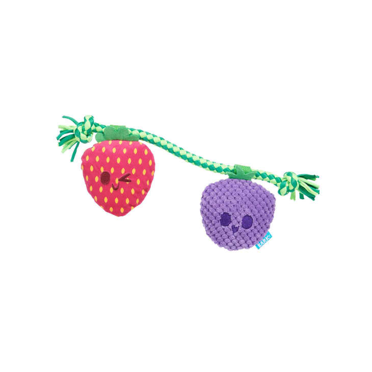 BARK 1.5-Inch Best Berry Friends Rope and Plush Dog Toy at Target