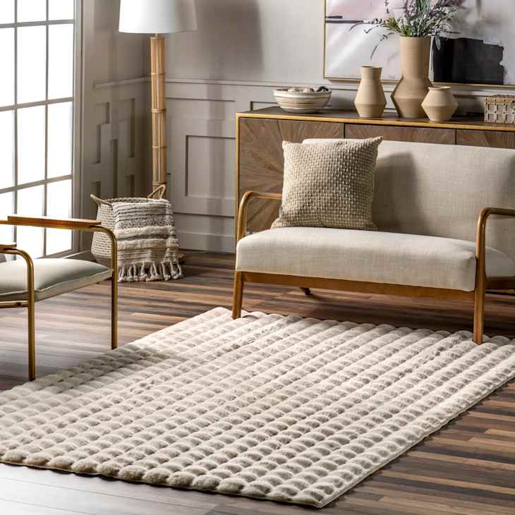 Rugs USA's Cloud Rug Made My Apartment so Much Cozier | Apartment Therapy