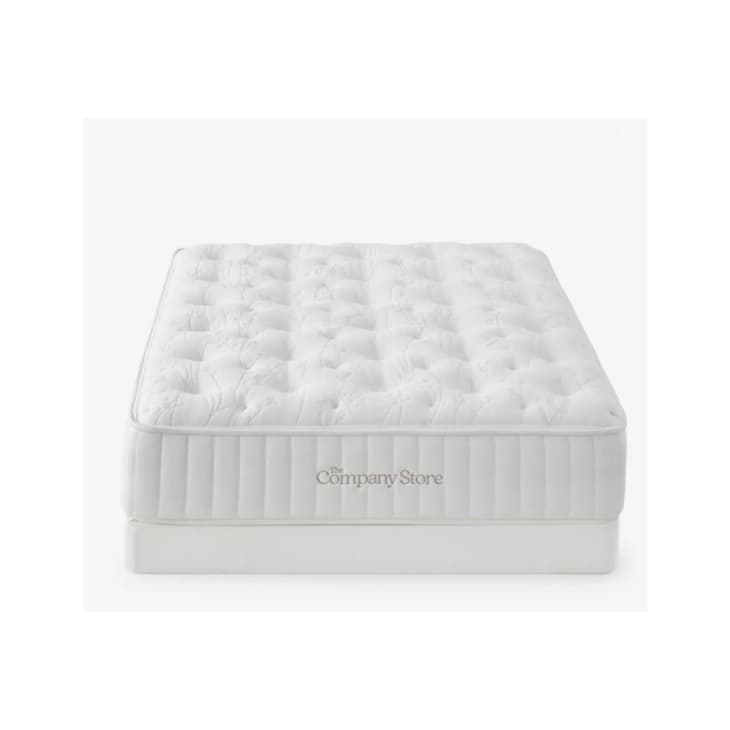 The Company Store Mattress and 5 inch Foundation, Queen at The Company Store