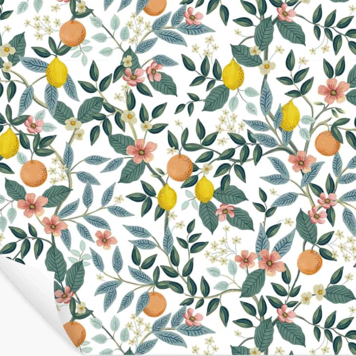 Product Image: Citrus Grove Peel & Stick Wallpaper