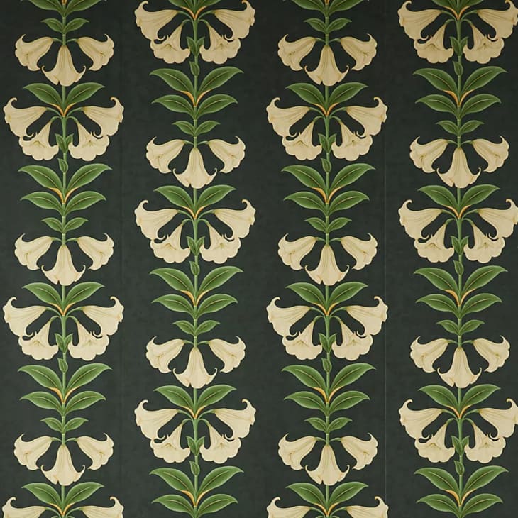 Product Image: Cole & Son Angels Trumpet Wallpaper