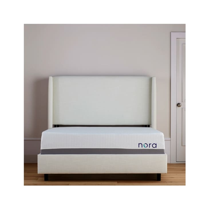 Nora 14'' Plush Cooling Gel Memory Foam Mattress with Cooling Cover at Wayfair