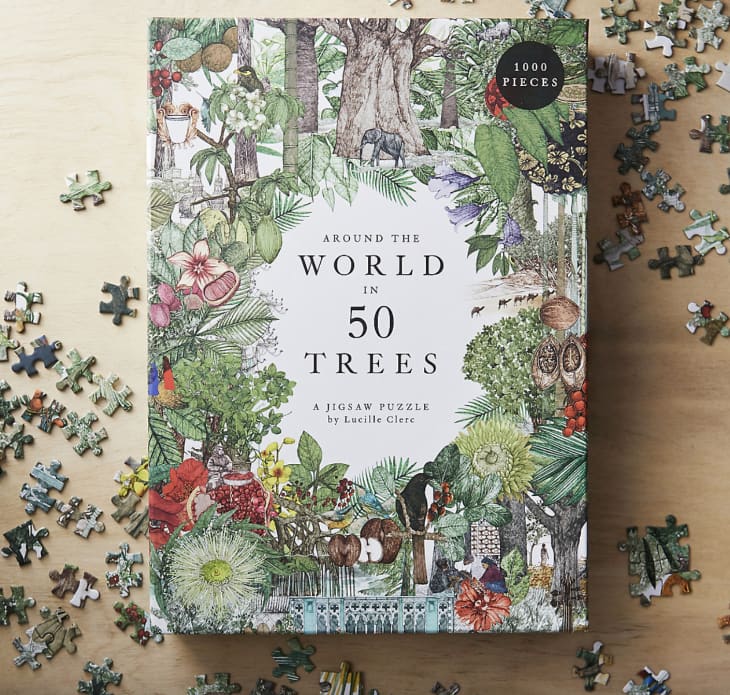 Product Image: Around the World in 50 Trees Puzzle