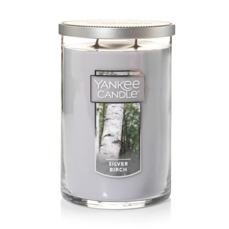Product Image: Yankee Candle Silver Birch