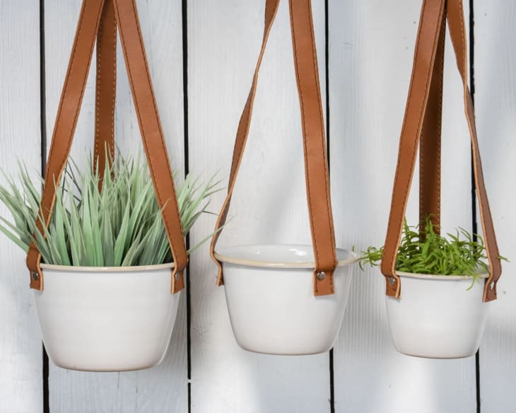 8 Best Stylish Indoor Hanging Planters 2023 | Apartment Therapy