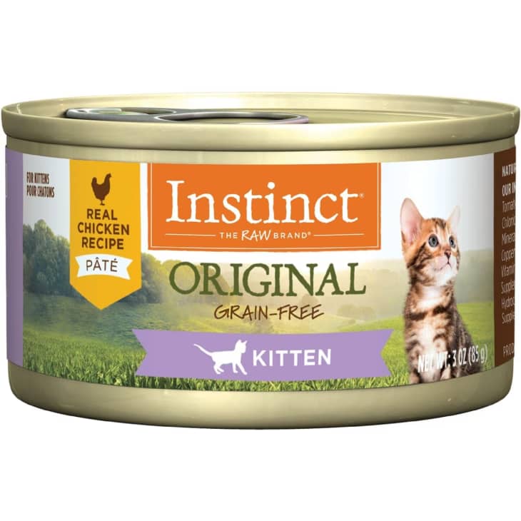 Best Food for Kittens and Adult Cats According to a Vet The Kitchn