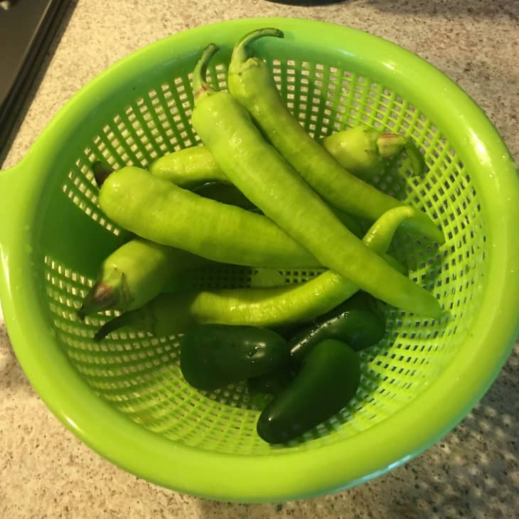 We Tested Lettuce Grow's Farmstand Nook — Here Are Our Thoughts The Kitchn