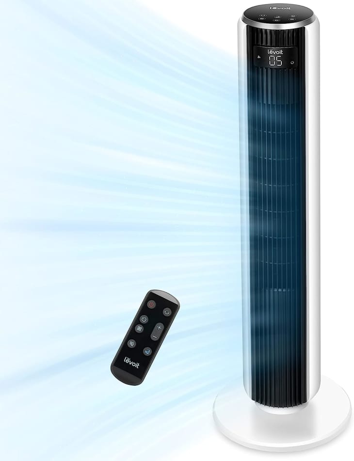 AT MVPs Shopping Editors' Most Valuable Products of 2024 Apartment