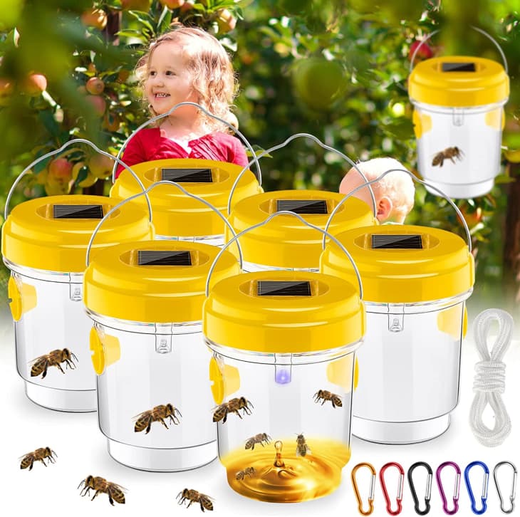 10 Best Outdoor Insect Traps 2023 The Kitchn