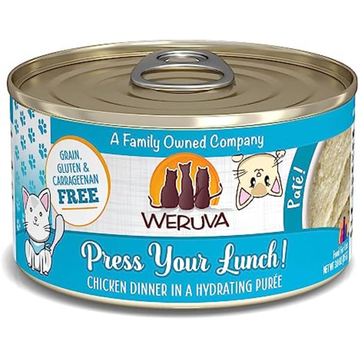 Best Adult Cat and Kitten Food Brands According to a Vet | Apartment