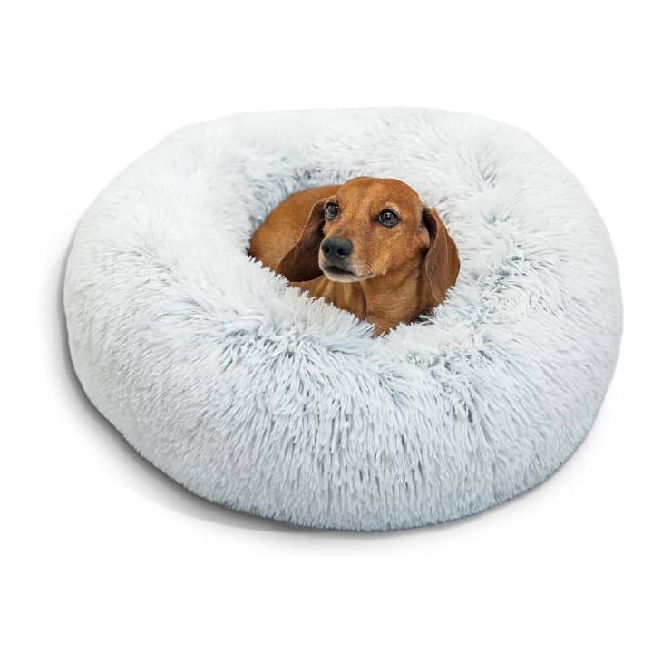 Best donut dog bed best sale