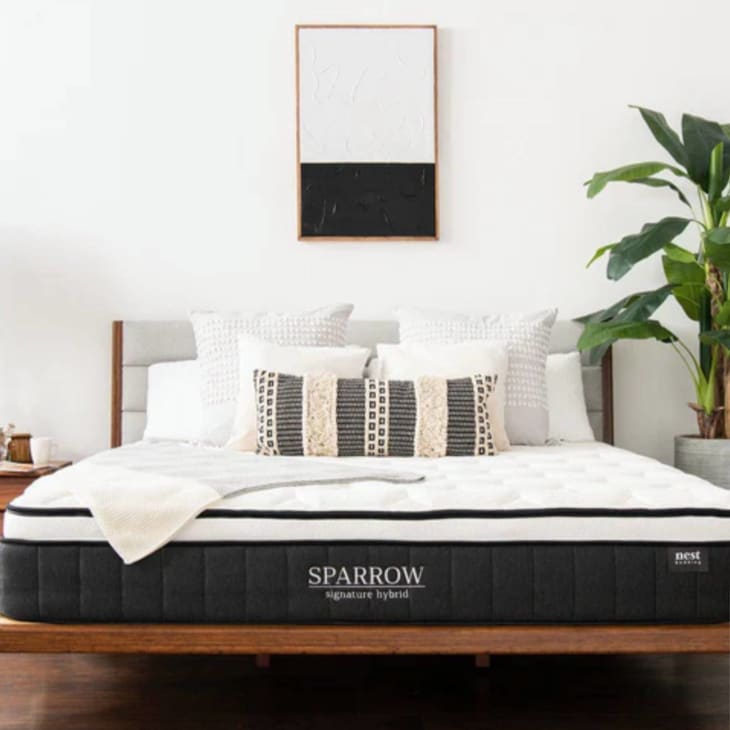 Mattresses in Boxes to Maximize Comfort and Minimize Effort Apartment